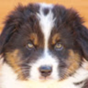 Meet your Posher, Ursula